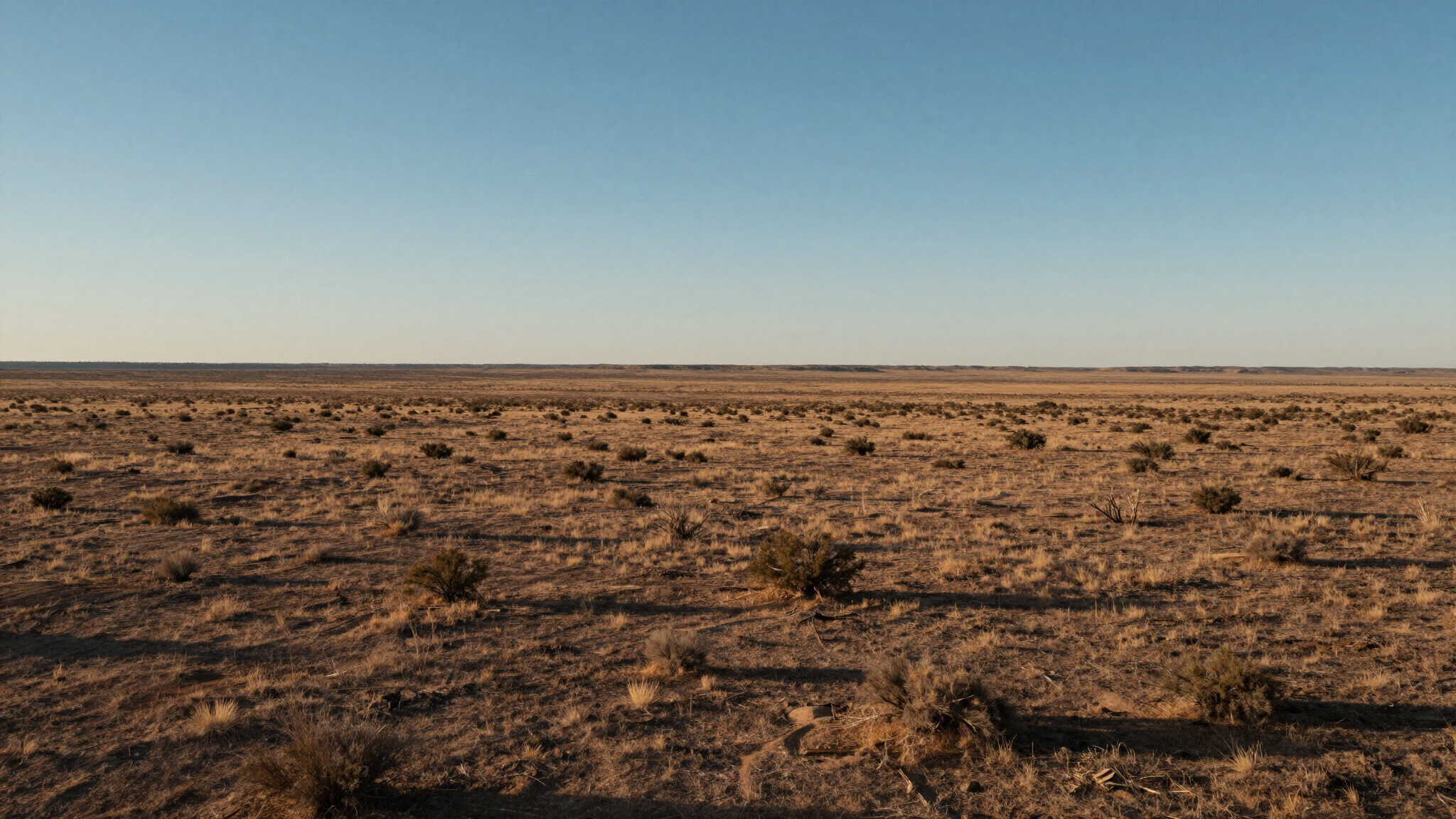 Complex Title Scenarios